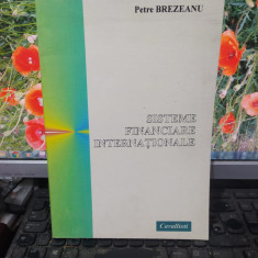 Petre Brezeanu, Sisteme financiare internaționale, Cavallioti 2003, 117