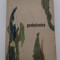 Geobotanica E Puscaru - Soroceanu, A. Popova-Cucu