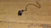 Port LAN Laptop HP ProBook 6540b, Placa Retea, Componenta Laptop