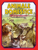 Animale domestice | Laura Ivona Dumitru, Andreas