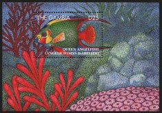 GAMBIA 1995 FAUNA MARINA PESTI foto