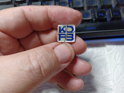 Lot de 2 insigne germane foto