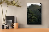 Tablou Canvas Natură Pădure Verde Frunziș Lumina Copaci Umbre, 26 x 39 cm, CMCLASS