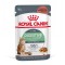 Royal Canin Digest Sensitive Care Adult hrana umeda pisica, confort digestiv (in sos), 85 g