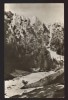 CPIB 21822 - CARTE POSTALA - MUNTII BUCEGI, VALEA SI COLTII MORARULUI, Circulata, Fotografie