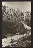 CPIB 21822 - CARTE POSTALA - MUNTII BUCEGI, VALEA SI COLTII MORARULUI