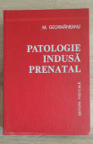 Patologie indusă prenatal - M. Geormăneanu