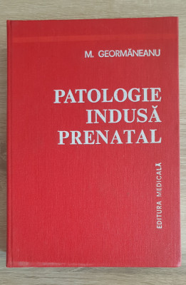 Patologie indusă prenatal - M. Geormăneanu foto