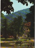 CPIB 16040 CARTE POSTALA - SINAIA. VILA &quot;CARAIMAN&quot;, RPR, Circulata, Fotografie