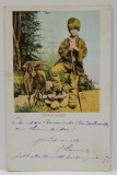 CIOBANAS ROMAN , CARTE POSTALA ILUSTRATA , CLASICA , 1906