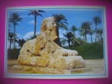 HOPCT 6778 SFINXUL DIN..SAKKARA . GIZA -EGIPT -AFRICA-NECIRCULATA