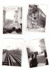 Lot 6 fotografii Bucuresti, cutemurul din martie 1977, Alb-Negru, Romania de la 1950, Cladiri