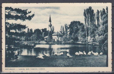 BUCURESTI LACUL DIN PARCUL CAROL foto