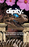 Dipity Literary Mag Issue #2 (Jurassic Ink Rerun Official Edition): Poetry &amp; Photography - December, 2022 - Softcover Economy Edition