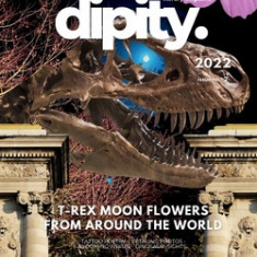 Dipity Literary Mag Issue #2 (Jurassic Ink Rerun Official Edition): Poetry & Photography - December, 2022 - Softcover Economy Edition