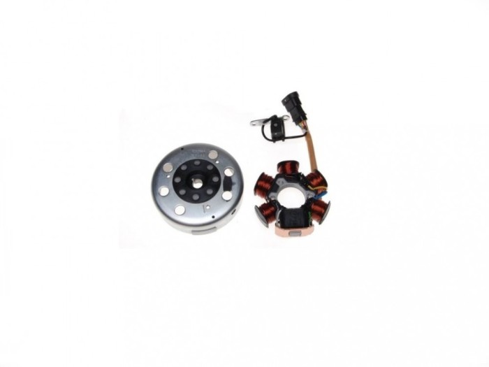 Ansamblu rotor+stator Piaggio 2T, 6 bobine