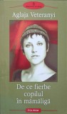 DE CE FIERBE COPILUL IN MAMALIGA-AGLAJA VETERANYI-273959