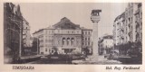 Timisoara. Bul. Reg. Ferdinand (necirculata)