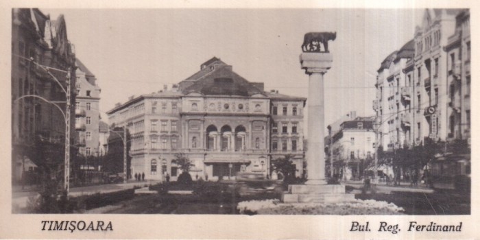 Timisoara. Bul. Reg. Ferdinand (necirculata)