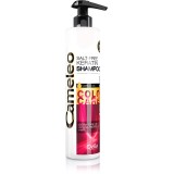 Delia Cosmetics Cameleo BB Sampon cu keratina pentru par vopsit sau suvitat 250 ml