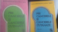 Precancerele si cancerele cutanate(2vol) foto