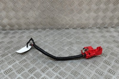 Cablu baterie pozitiv FORD PUMA J2K, CF7 2024 OEM: H1BT-14A075-AA 29372836 foto