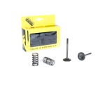 Set supape evacuare YZF 450 03- 09,WRF 450 03- 14,YFZ 450 04- 12 Prox 28.SES2424-1