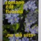 ROMANE CAT FLOAREA &#039;&#039; NU MA UITA &#039;&#039; de EUGEN VIRGIL NICOARA , 2008