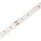 Bandă LED Alb Rece 24V IP65