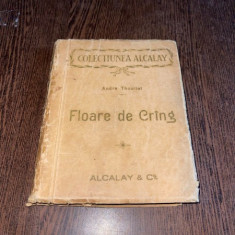 Andre Theuriet - Floare de Crang (aprox. 1910)