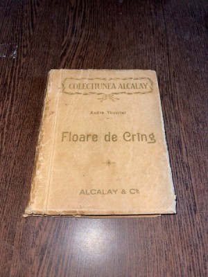 Andre Theuriet - Floare de Crang (aprox. 1910) foto