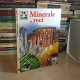 Prof. WERNER BUGGISCH - MINERALE SI ROCI , ENCICLOPEDIA RAO , 2006 *