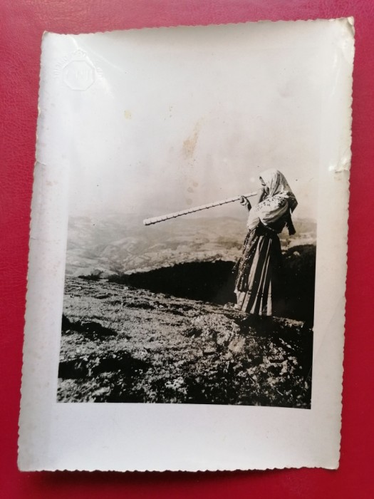 Foto tematica etno Muntele Gaina