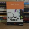 IOAN ES. POP - PETRECERE DE PIETONI , 2003 *