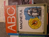 Magnetul vintage
