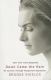 Down Came the Rain: My Journey Through Postpartum Depression