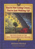 You&#039;re Not Going Crazy... You&#039;re Just Waking Up!: The Five Stages of the Soul Transformation Process