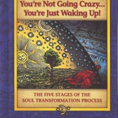 You're Not Going Crazy... You're Just Waking Up!: The Five Stages of the Soul Transformation Process