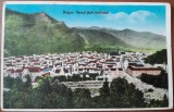 Carte postala, Brasov, Parcul si Bd. Ferdinand, perioada interbelica