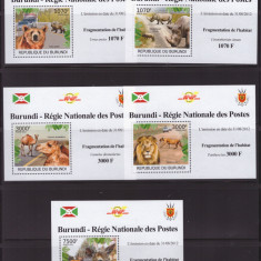 129-BURUNDI-2=5 colite ANIMALE-HABITATUL=urs-rinocer-camila-leu-cerb,