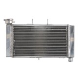 Radiator Racire HONDA NC 700 an 2012-2017 Apa 2013 2014 2015