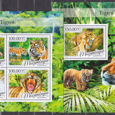 DB1 Fauna Mozambic Tigri MS + SS MNH