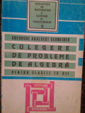 Gheorghe Adalbert Schneider - Culegere de probleme de algebra pentru clasele IX - XII