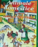 ANIMALE DOMESTICE CARTE CU FERESTRUICI