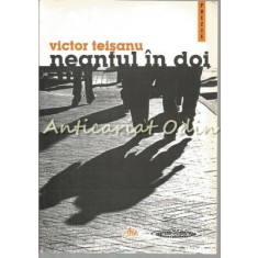 Neantul In Doi - Victor Teisanu - Cu Autograf Din Partea Autorului