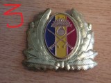 QW14 - Emblema militara / cuc - uscat - anii 1990 - piesa de colectie