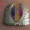 QW14 - Emblema militara / cuc - uscat - anii 1990 - piesa de colectie