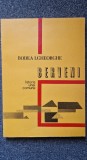BERVENI. Istoria unei comune - Bodea Gheorghe