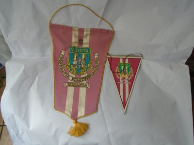bnk div Set 2 fanioane + 1 insigna Vointa Cooperatia mestesugareasca foto