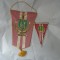 bnk div Set 2 fanioane + 1 insigna Vointa Cooperatia mestesugareasca